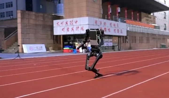 humanoid 
