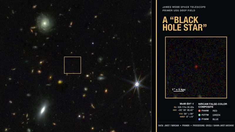 Webb discovering black hole star MoM-BH*-1
