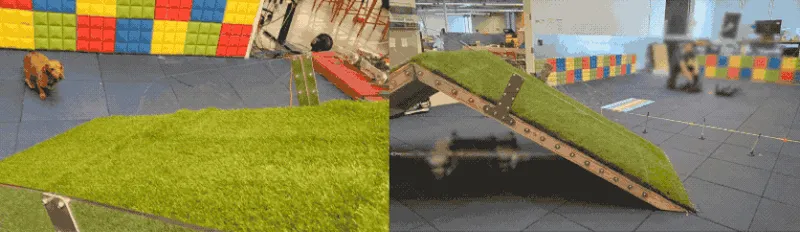 Barkour