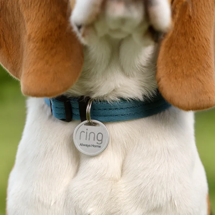 Ring for Pets | Pet Security, Cameras, and More | Ring