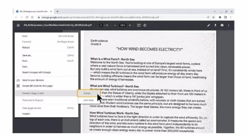 google chrome pdf