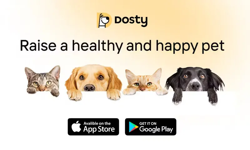 Dosty startapı