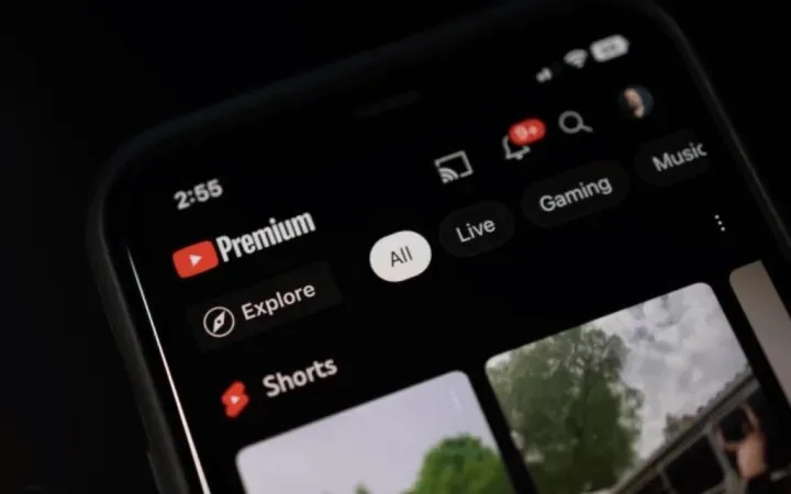 YouTube pulsuz