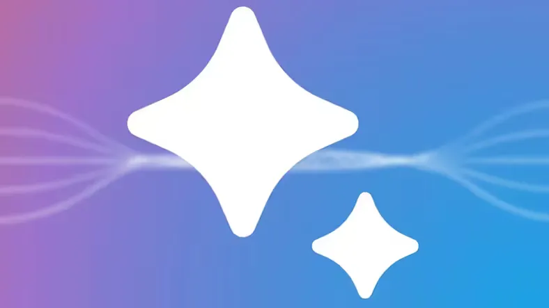 Gemini təhqir