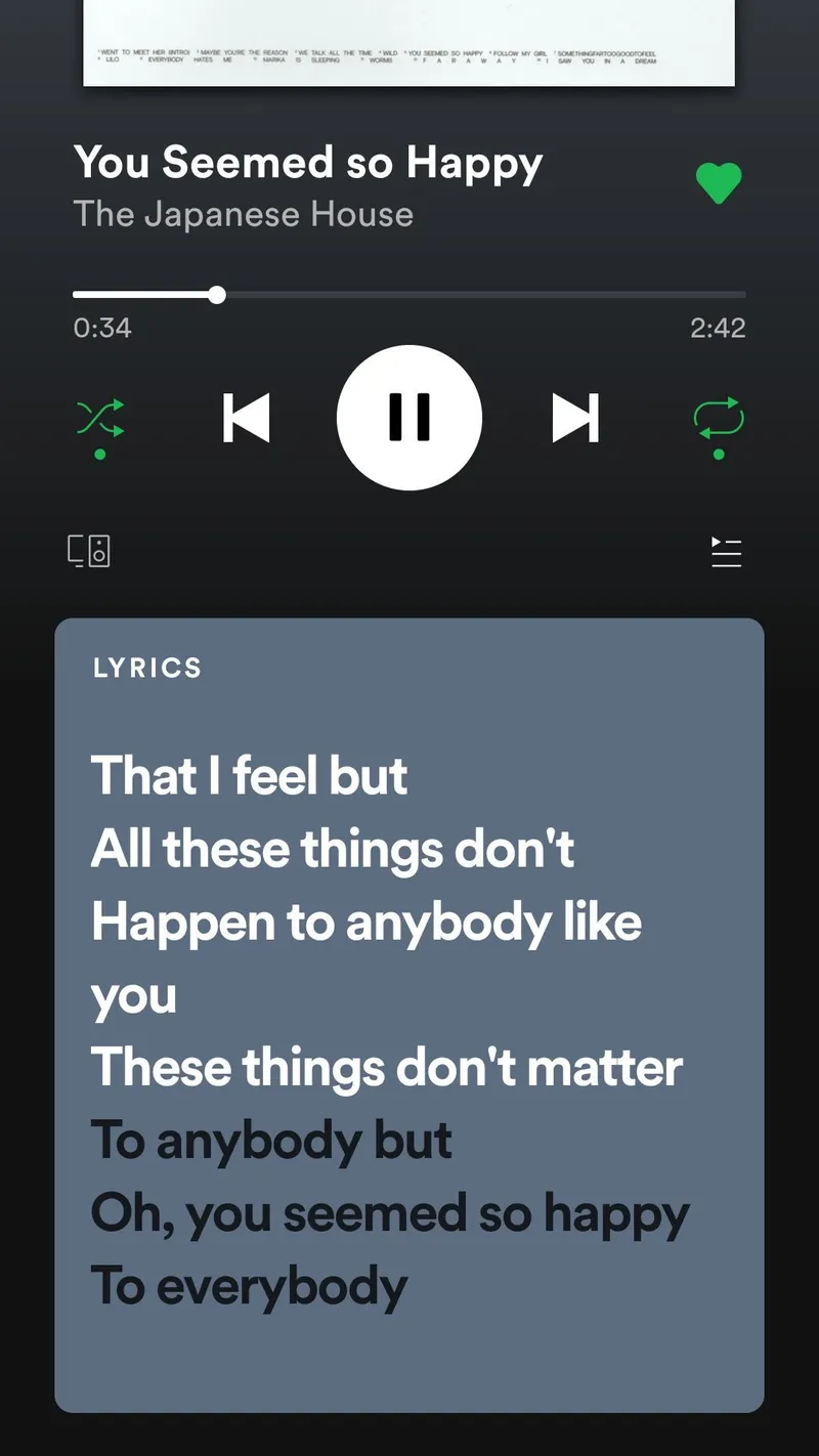 Spotify brings real-time lyrics to 26 countries, not including the US | The  Verge