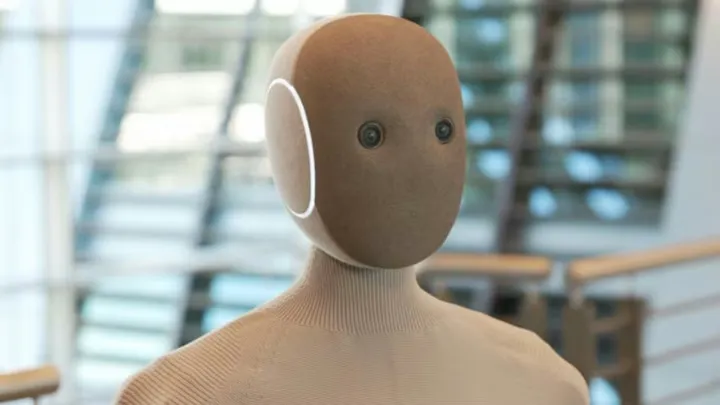 Avtonom robotlar