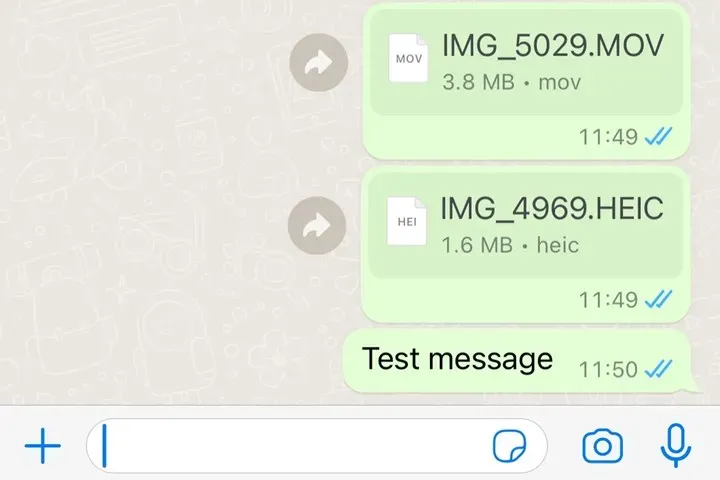 WhatsApp şəkil video