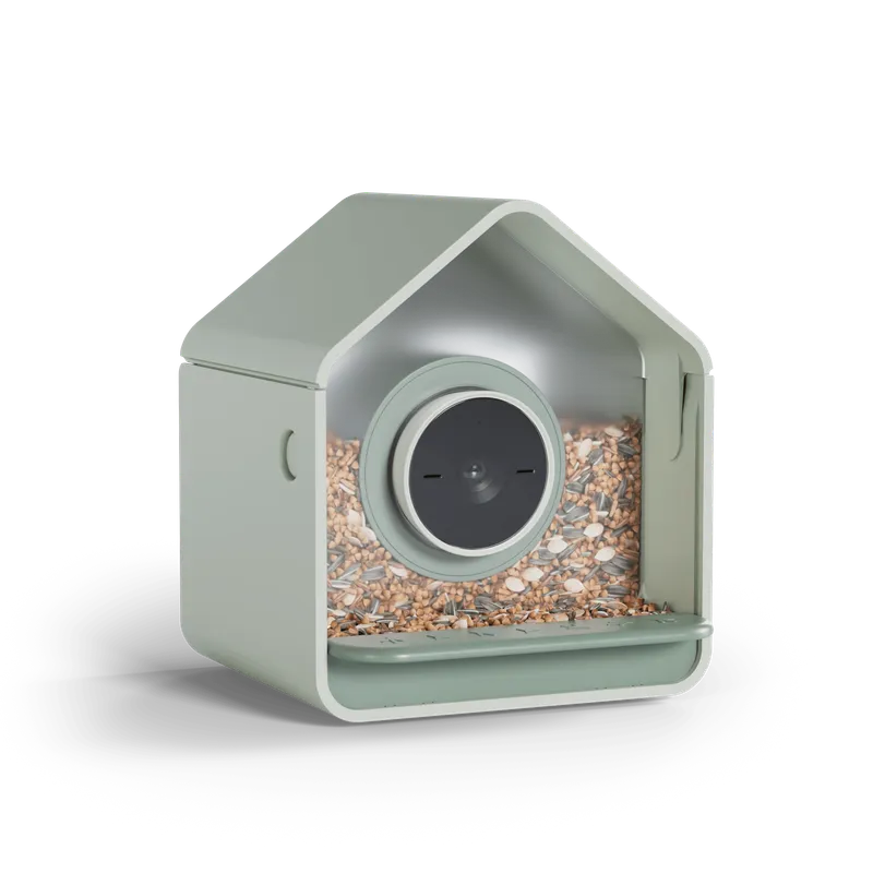 The cheaper Birdbuddy 2 Mini is similar to the flagship, but smaller and more accessible.