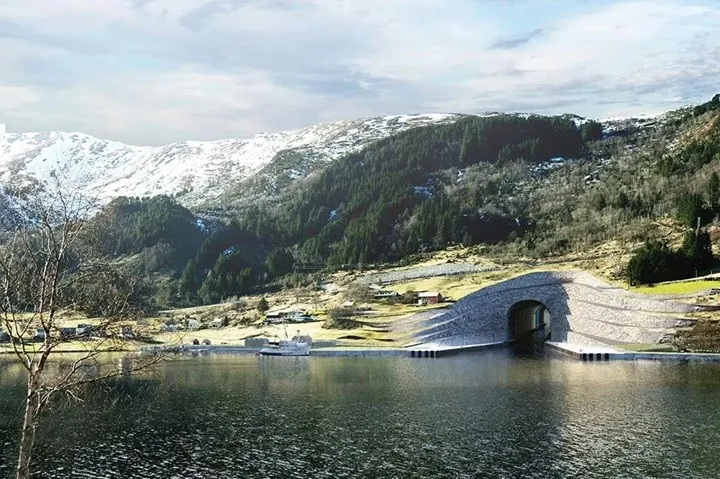 Norveç