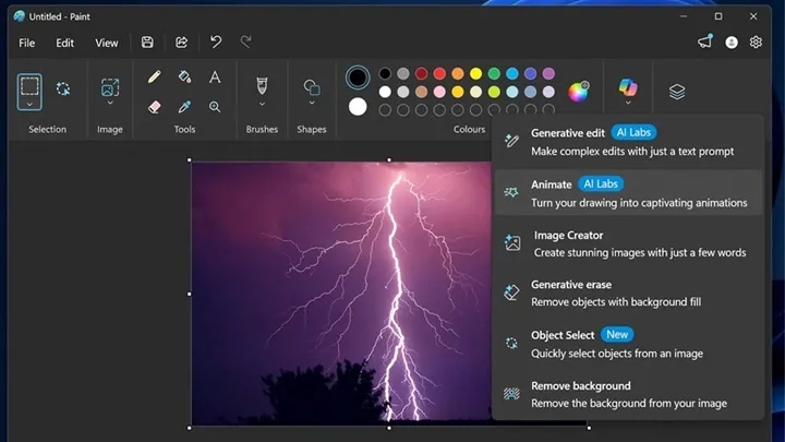 Microsoft Paint