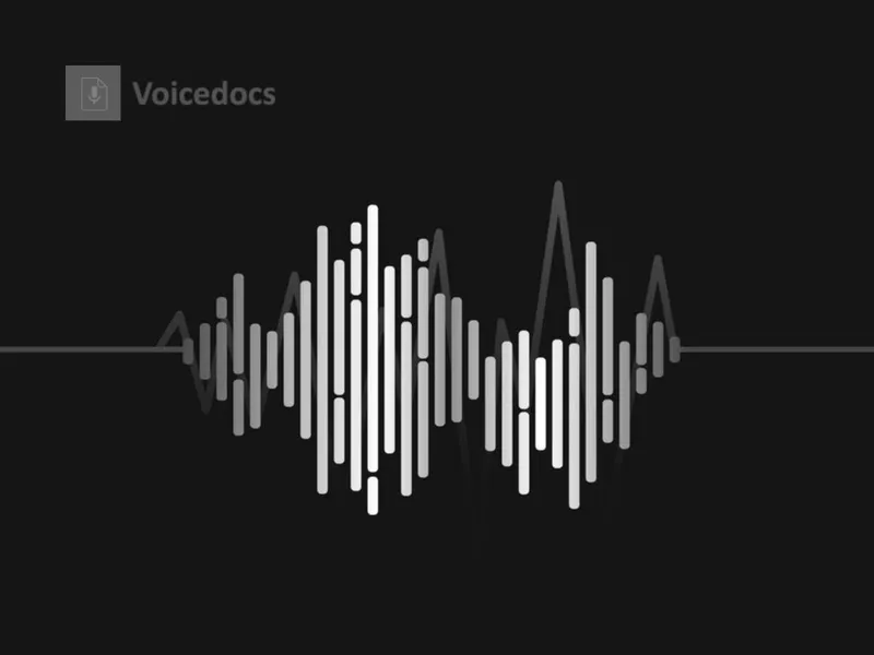 voicedocs