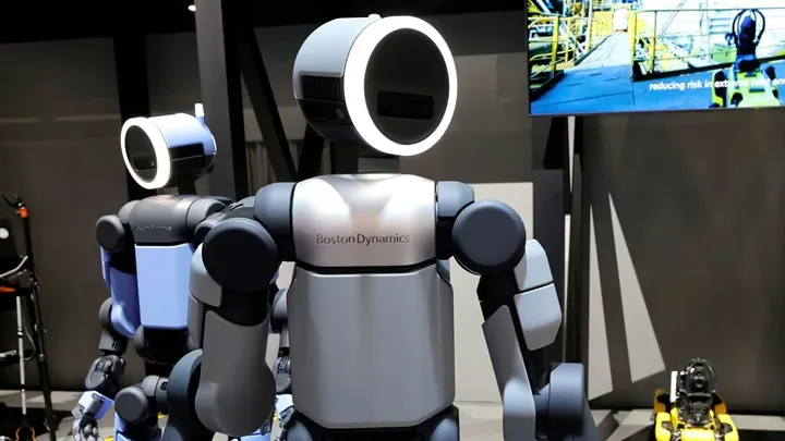 Humanoid robotlar