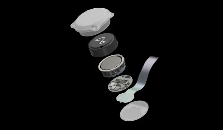 Neuralink ilk problem
