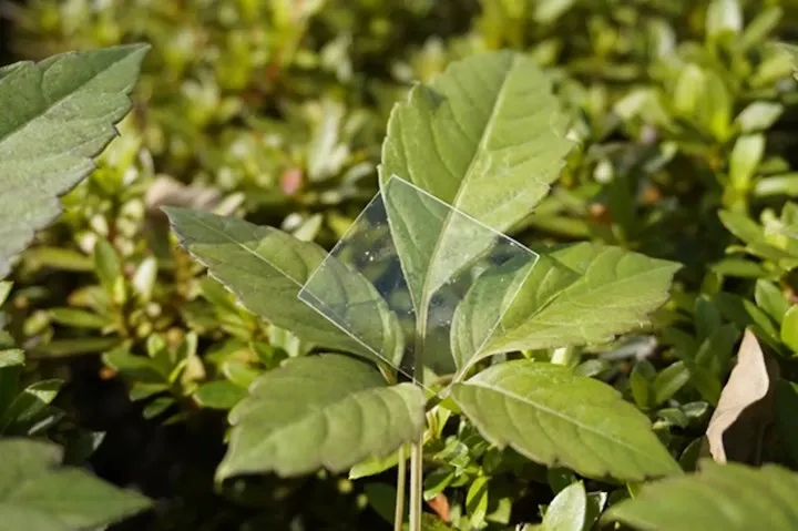 duzlu plastik