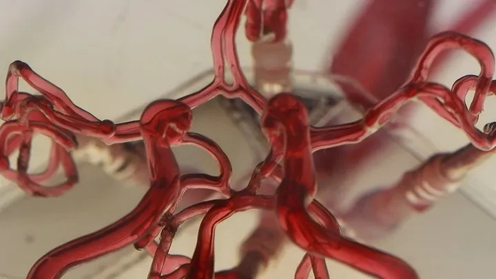 damarlarda üzən