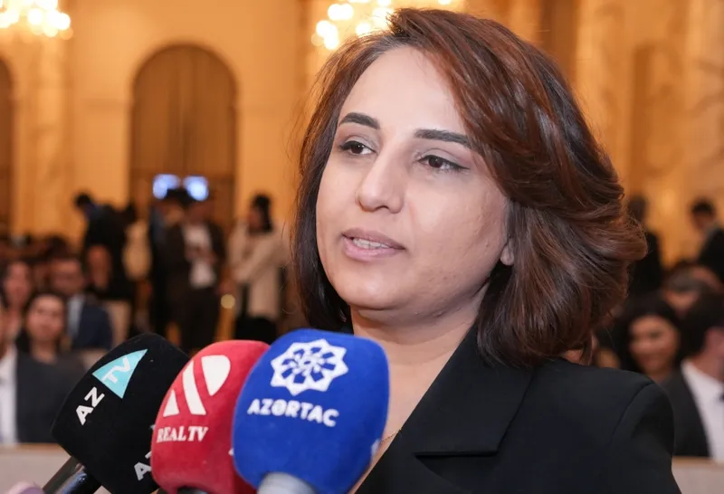 investisiya maliyyə İnarə Vəliyeva