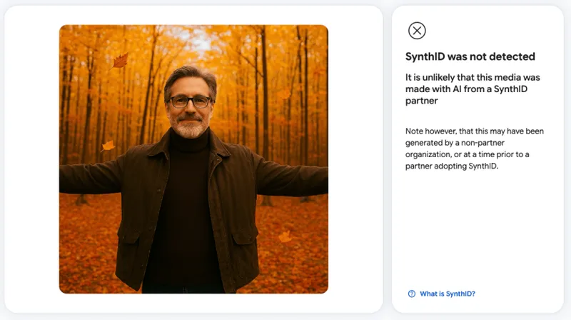 Google AI ilə hazırlanan foto, video və səsləri yoxlayan aləti hamıya açdı