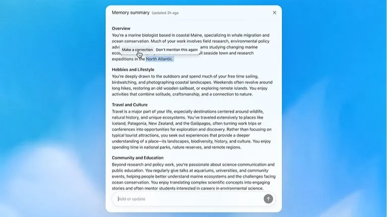A screenshot of ChatGPT's new Memory Summary feature