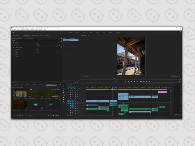 Premiere Pro