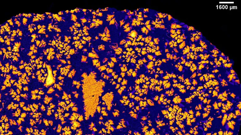 An X-ray image of NWA 12774