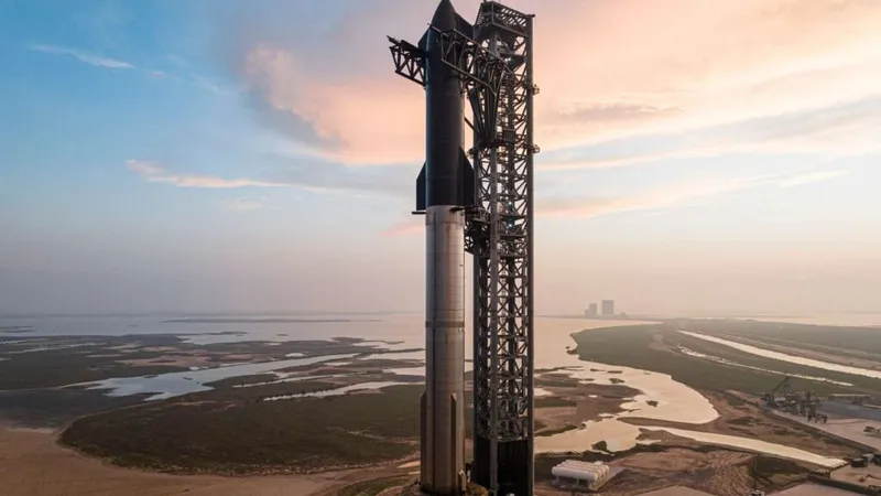 Elon Musk Starship