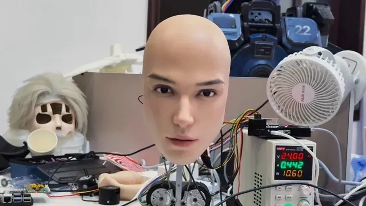 insan robot